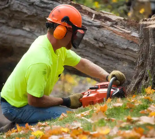 tree services Napi Headquarters